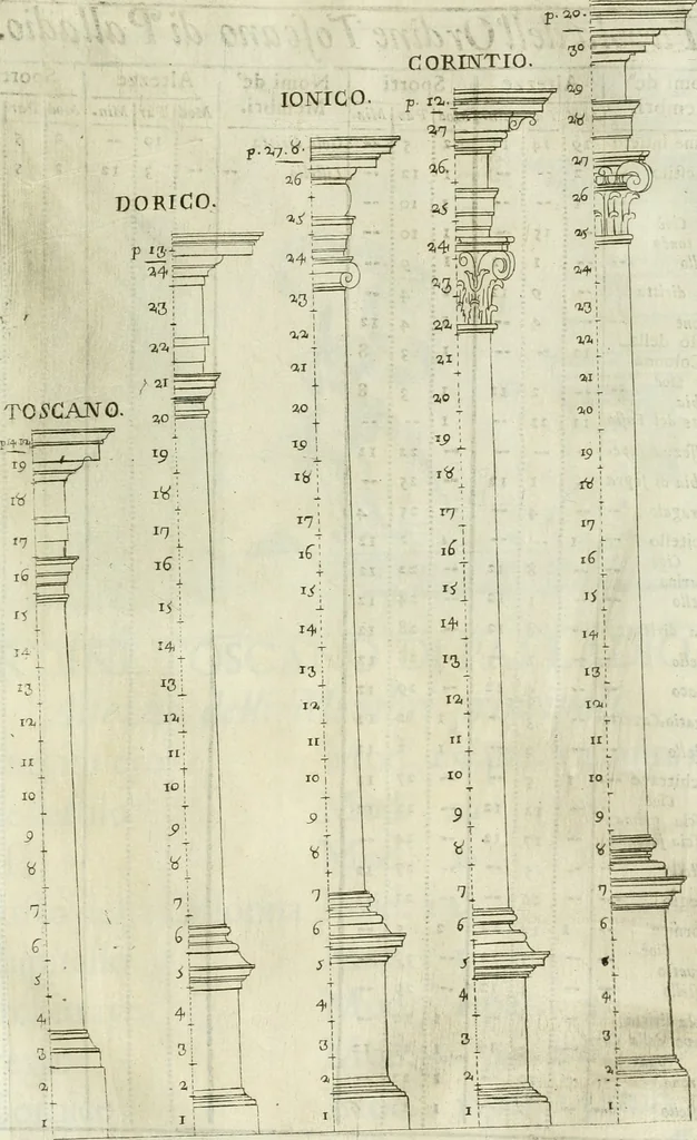 An illustration from L'architetto prattico : in cui con facilta si danno le regole per apprendere l'architettura civile, 1726, leaf 204