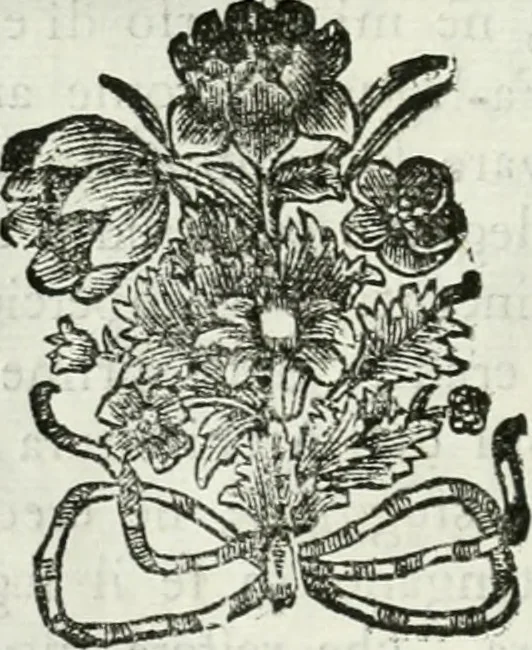 An illustration from L'architetto prattico : in cui con facilta si danno le regole per apprendere l'architettura civile, 1726, leaf 21