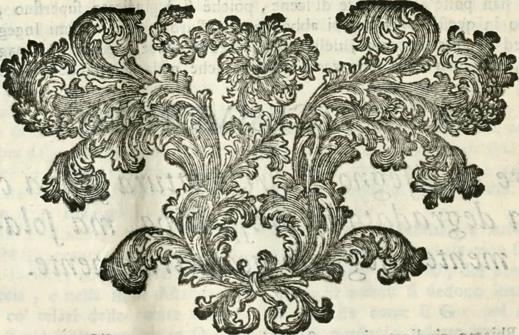 An illustration from L'architetto prattico : in cui con facilta si danno le regole per apprendere l'architettura civile, 1726, leaf 205