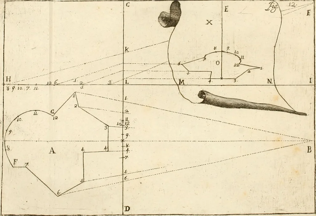 An illustration from L'architetto prattico : in cui con facilta si danno le regole per apprendere l'architettura civile, 1726, leaf 239