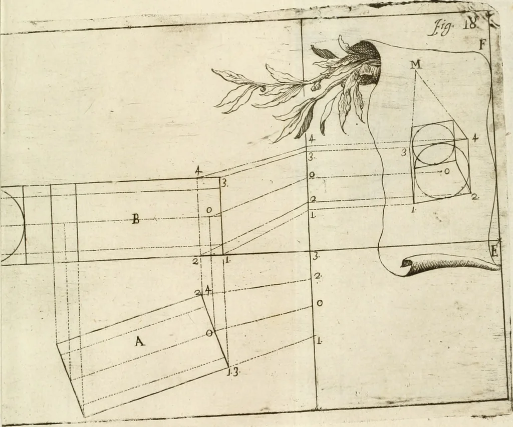 An illustration from L'architetto prattico : in cui con facilta si danno le regole per apprendere l'architettura civile, 1726, leaf 250