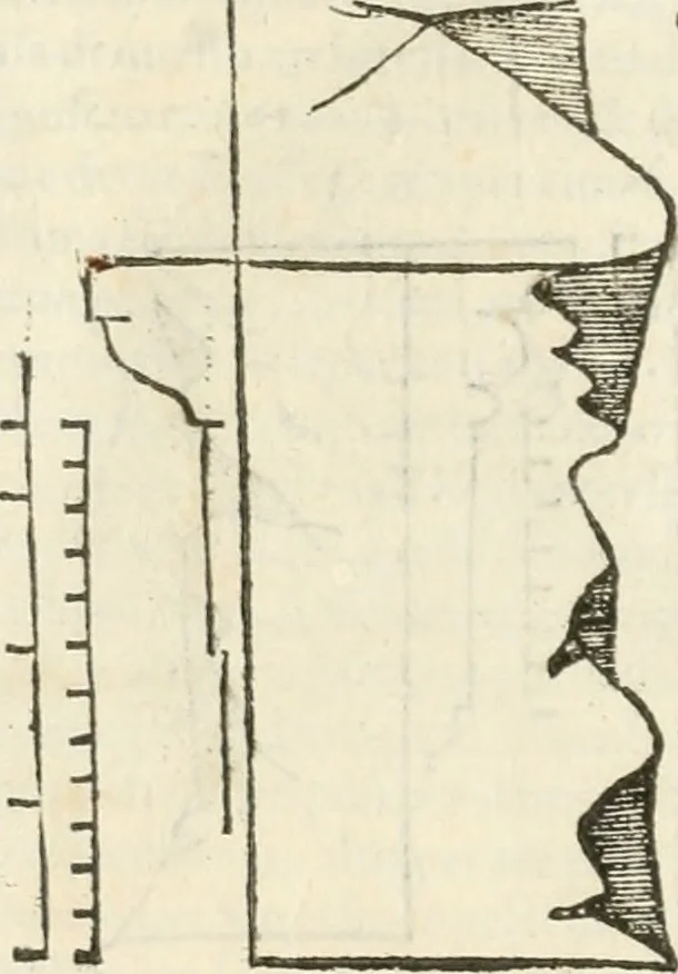 An illustration from L'architettura, 1565, leaf 177