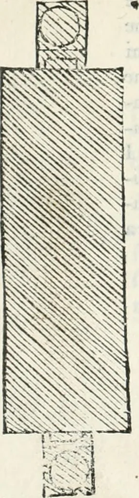 An illustration from L'architettura, 1565, leaf 229