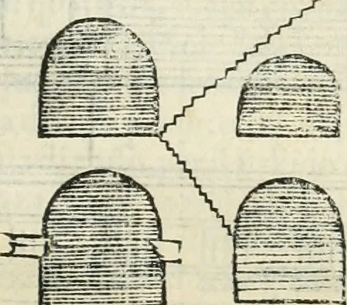 An illustration from L'architettura, 1565, leaf 238