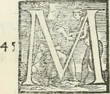 An illustration from L'architettura, 1565, leaf 322