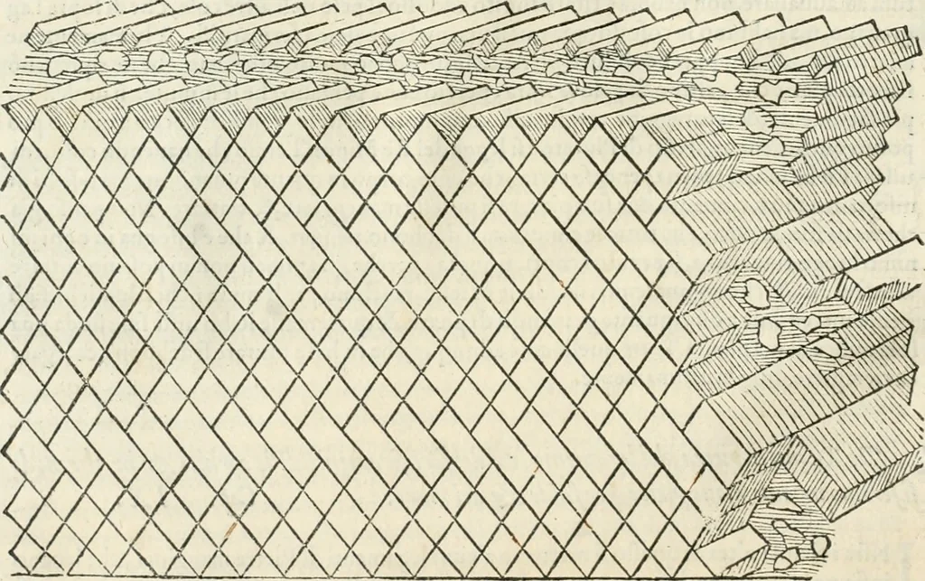 An illustration from L'architettura, 1565, leaf 61