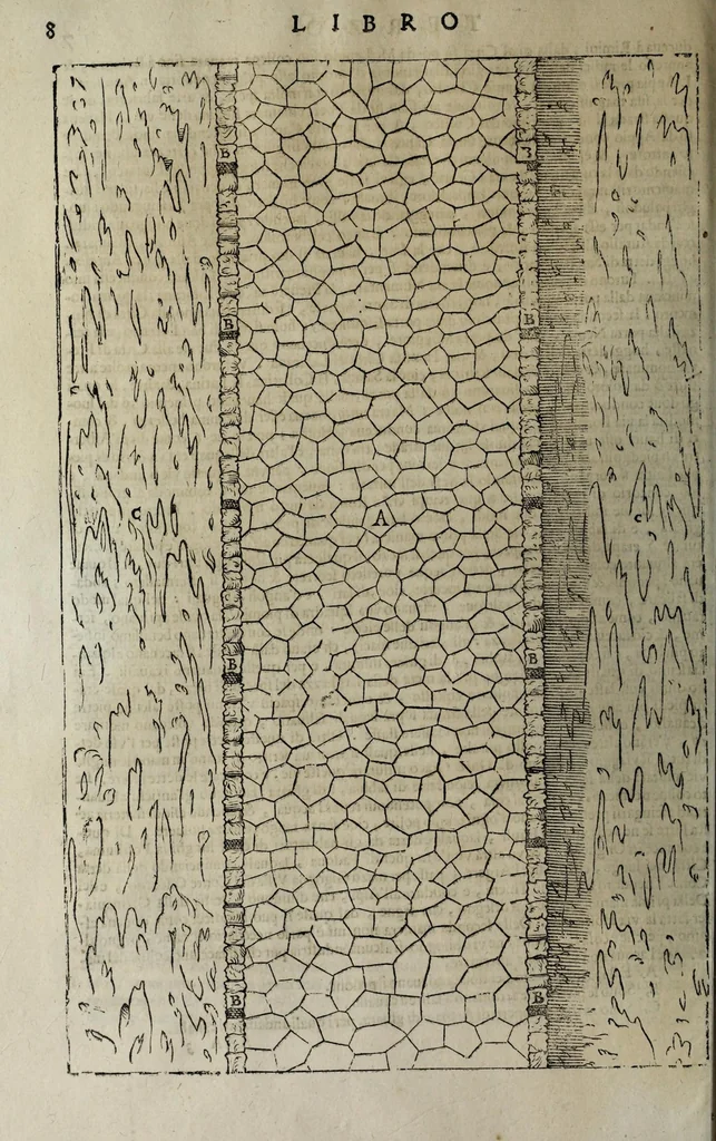 An illustration from L'architettura di Andrea Palladio diuisa in quattro libri : ne' quali, dopò vn breue trattato de' cinque ordini, et di quelli auertimenti, c[he] sono più necessarij nel fabricare : si tratta delle case priuate, delle vie, dei ponti, delle piazze, dei xisti, et de tempij, 1642, leaf 166