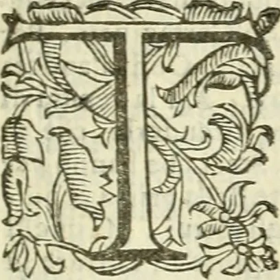 An illustration from L'architettura militare di Gabriello Busca, milanese : nella quale si da contezza ad ogni professore, e seguace della guerra tanto di grande, quanto di basso titolo, Del modo di fortificare luochi deboli, cinger cittadi, fabricar fortezze, cosi al monte, come alla pianura, e della maniera di diffenderle da qualsiuoglia batteria, & assalto, 1619, leaf 16