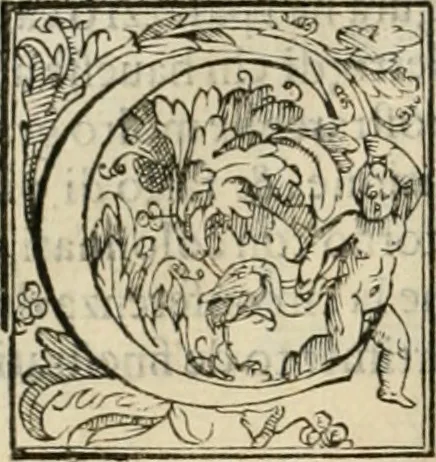 An illustration from L'architettvra, 1567, leaf 117