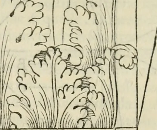 An illustration from L'architettvra, 1567, leaf 135