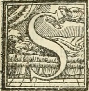 An illustration from L'architettvra, 1567, leaf 162
