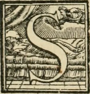 An illustration from L'architettvra, 1567, leaf 167