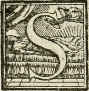 An illustration from L'architettvra, 1567, leaf 189