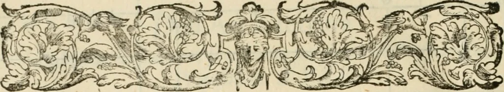 An illustration from L'architettvra, 1567, leaf 205