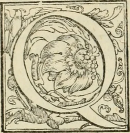 An illustration from L'architettvra, 1567, leaf 205