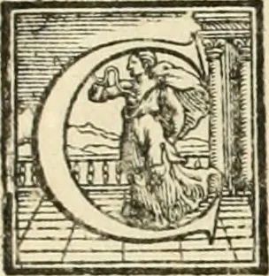 An illustration from L'architettvra, 1567, leaf 210