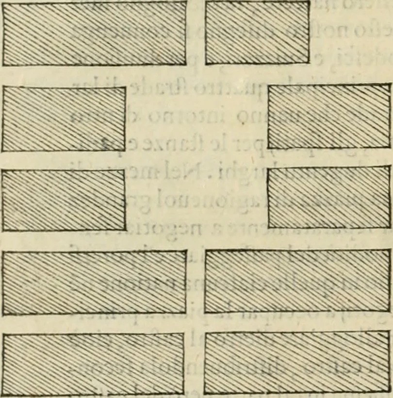 An illustration from L'architettvra, 1567, leaf 55