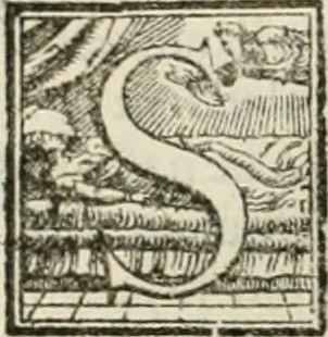 An illustration from L'architettvra, 1567, leaf 81
