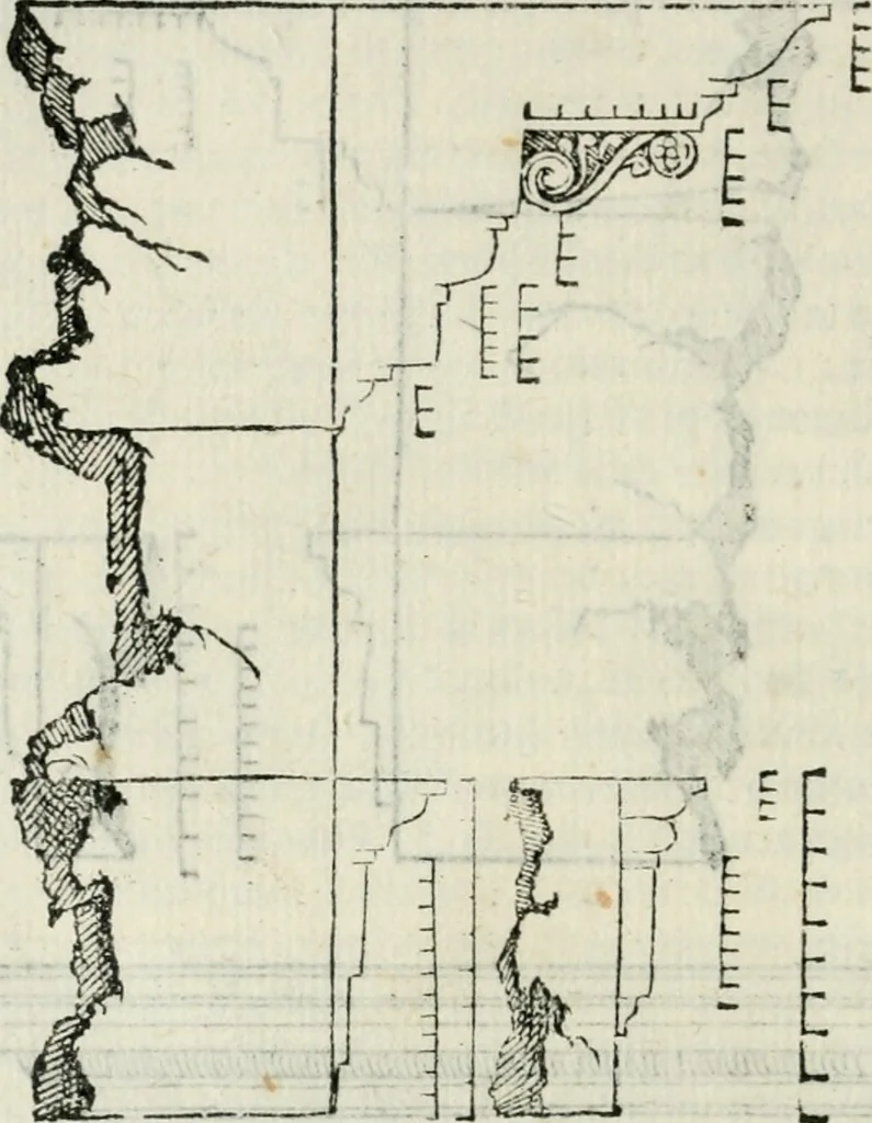 An illustration from L'architettvra, 1565, leaf 239