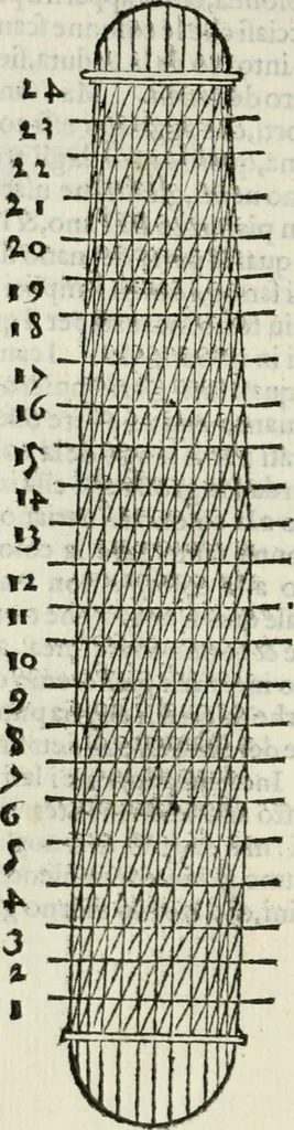 An illustration from L'architettvra, 1565, leaf 241