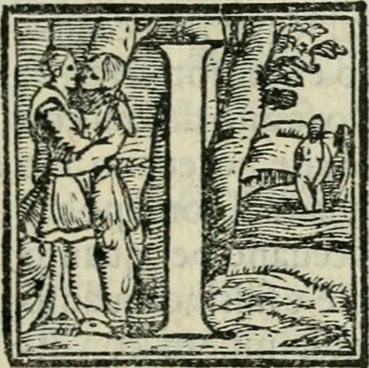 An illustration from L'architettvra, 1565, leaf 272
