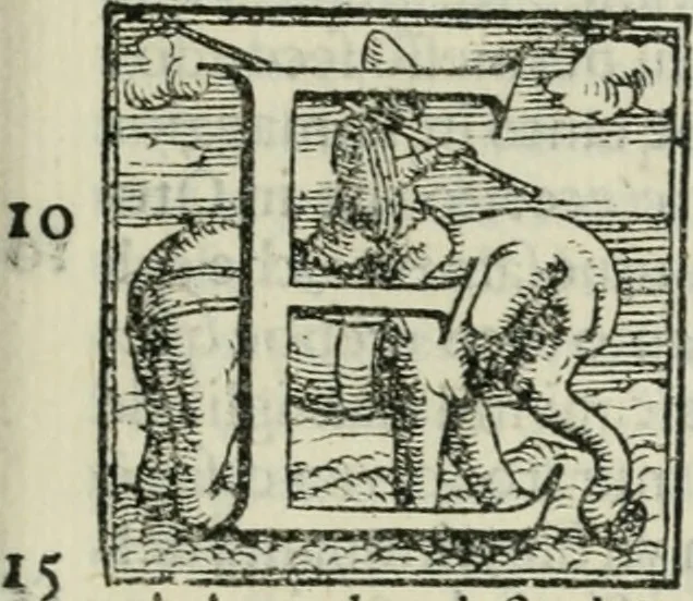 An illustration from L'architettvra, 1565, leaf 336