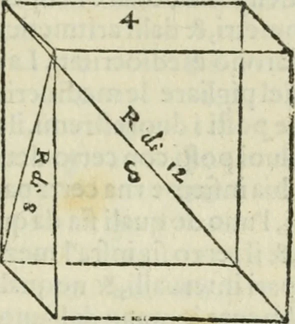 An illustration from L'architettvra, 1565, leaf 356