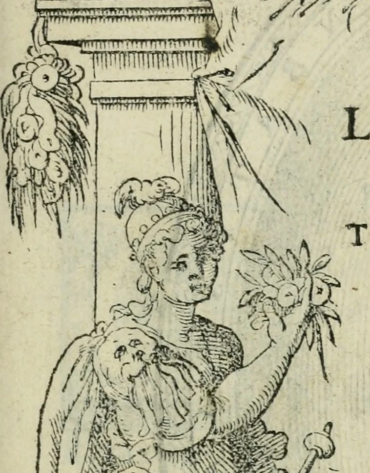 An illustration from L'architettvra, 1565, leaf 4