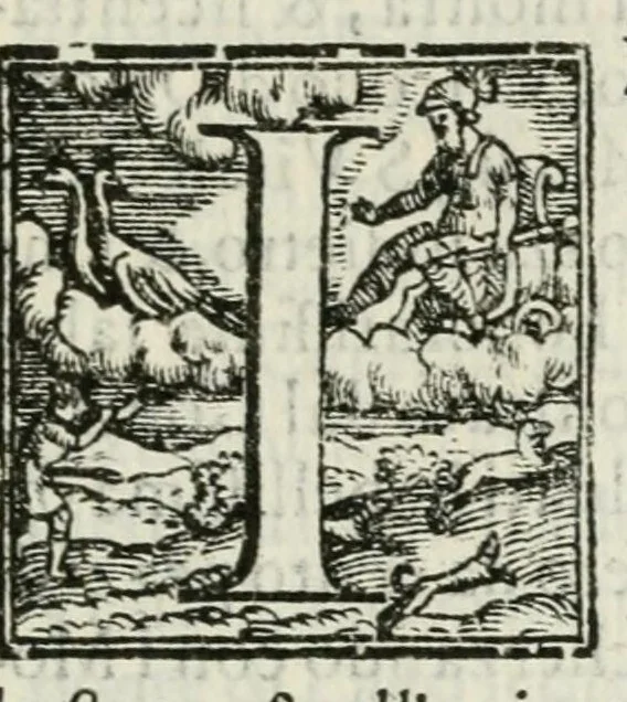 An illustration from La reale entrata del serenissimo dvca di Parma et Piacenza, &c. in Ferrara, 1598, leaf 7