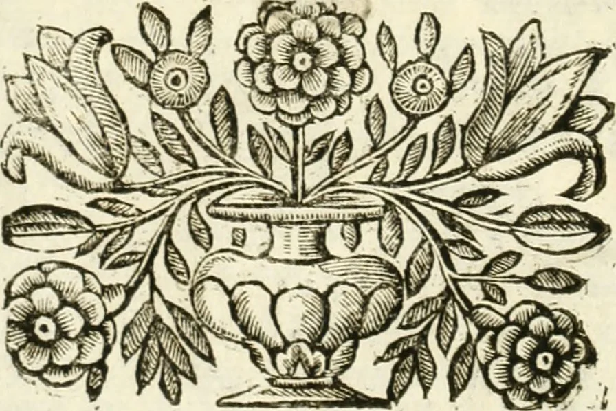 An illustration from La reale maesta, cioé, Racconto di quanto fece la regia città di Pauia nel compire e riceuere la Sereniss. D. Maria Anna, figliuola di Ferdinando terzo, imperadore sempre augusto, e sposa del grande monarca ibero Filippo quarto, di là in passando per andarsene in Ispagna, 1650, leaf 11