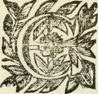 An illustration from La reale maesta, cioé, Racconto di quanto fece la regia città di Pauia nel compire e riceuere la Sereniss. D. Maria Anna, figliuola di Ferdinando terzo, imperadore sempre augusto, e sposa del grande monarca ibero Filippo quarto, di là in passando per andarsene in Ispagna, 1650, leaf 12