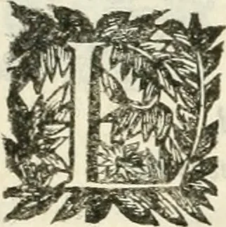 An illustration from La reale maesta, cioé, Racconto di quanto fece la regia città di Pauia nel compire e riceuere la Sereniss. D. Maria Anna, figliuola di Ferdinando terzo, imperadore sempre augusto, e sposa del grande monarca ibero Filippo quarto, di là in passando per andarsene in Ispagna, 1650, leaf 14