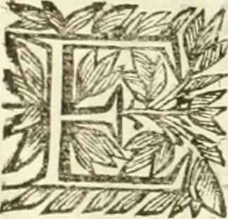 An illustration from La reale maesta, cioé, Racconto di quanto fece la regia città di Pauia nel compire e riceuere la Sereniss. D. Maria Anna, figliuola di Ferdinando terzo, imperadore sempre augusto, e sposa del grande monarca ibero Filippo quarto, di là in passando per andarsene in Ispagna, 1650, leaf 15