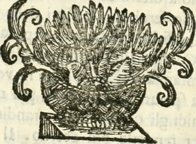 An illustration from La reale maesta, cioé, Racconto di quanto fece la regia città di Pauia nel compire e riceuere la Sereniss. D. Maria Anna, figliuola di Ferdinando terzo, imperadore sempre augusto, e sposa del grande monarca ibero Filippo quarto, di là in passando per andarsene in Ispagna, 1650, leaf 155