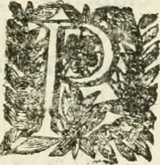 An illustration from La reale maesta, cioé, Racconto di quanto fece la regia città di Pauia nel compire e riceuere la Sereniss. D. Maria Anna, figliuola di Ferdinando terzo, imperadore sempre augusto, e sposa del grande monarca ibero Filippo quarto, di là in passando per andarsene in Ispagna, 1650, leaf 16