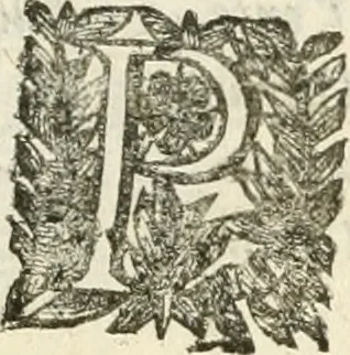 An illustration from La reale maesta, cioé, Racconto di quanto fece la regia città di Pauia nel compire e riceuere la Sereniss. D. Maria Anna, figliuola di Ferdinando terzo, imperadore sempre augusto, e sposa del grande monarca ibero Filippo quarto, di là in passando per andarsene in Ispagna, 1650, leaf 24
