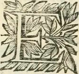 An illustration from La reale maesta, cioé, Racconto di quanto fece la regia città di Pauia nel compire e riceuere la Sereniss. D. Maria Anna, figliuola di Ferdinando terzo, imperadore sempre augusto, e sposa del grande monarca ibero Filippo quarto, di là in passando per andarsene in Ispagna, 1650, leaf 26