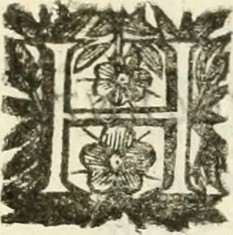 An illustration from La reale maesta, cioé, Racconto di quanto fece la regia città di Pauia nel compire e riceuere la Sereniss. D. Maria Anna, figliuola di Ferdinando terzo, imperadore sempre augusto, e sposa del grande monarca ibero Filippo quarto, di là in passando per andarsene in Ispagna, 1650, leaf 28
