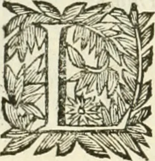 An illustration from La reale maesta, cioé, Racconto di quanto fece la regia città di Pauia nel compire e riceuere la Sereniss. D. Maria Anna, figliuola di Ferdinando terzo, imperadore sempre augusto, e sposa del grande monarca ibero Filippo quarto, di là in passando per andarsene in Ispagna, 1650, leaf 29