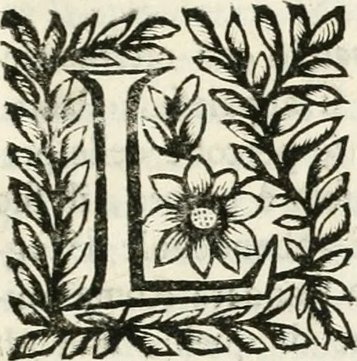 An illustration from La reale maesta, cioé, Racconto di quanto fece la regia città di Pauia nel compire e riceuere la Sereniss. D. Maria Anna, figliuola di Ferdinando terzo, imperadore sempre augusto, e sposa del grande monarca ibero Filippo quarto, di là in passando per andarsene in Ispagna, 1650, leaf 30