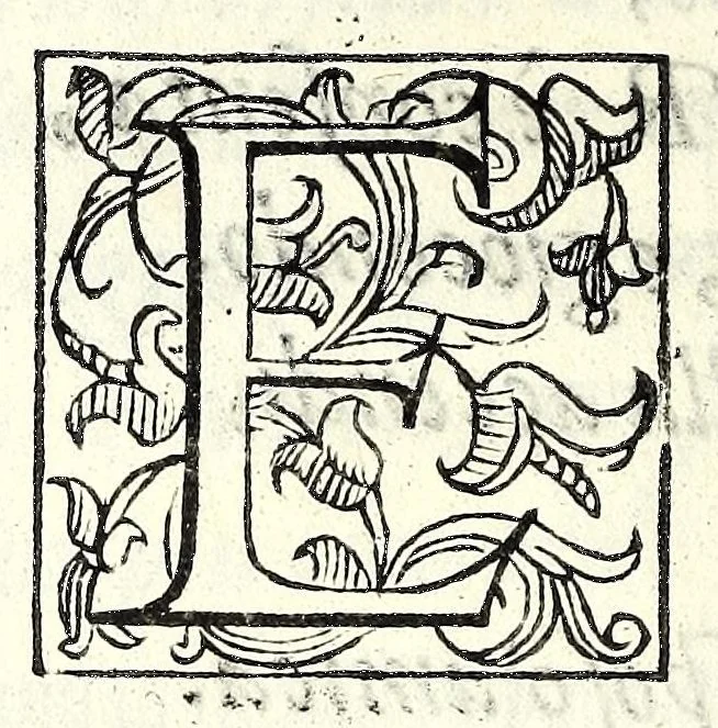 An illustration from La Recinda : tragedia, 1590, leaf 110