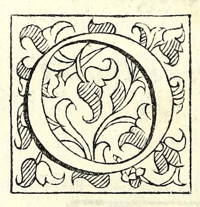 An illustration from La Recinda : tragedia, 1590, leaf 138