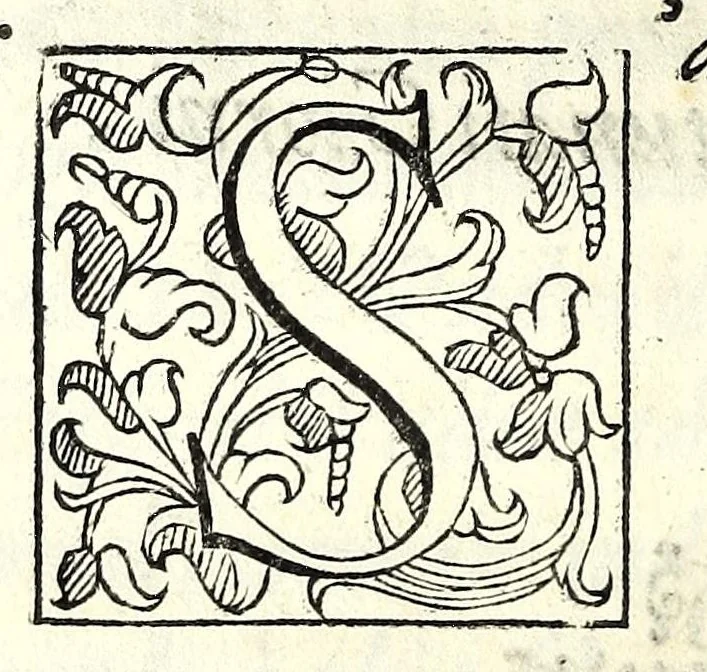 An illustration from La Recinda : tragedia, 1590, leaf 50