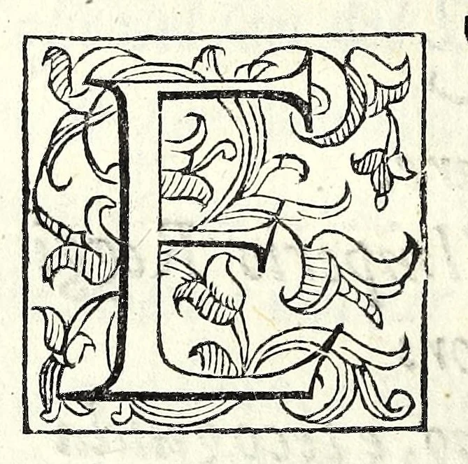 An illustration from La Recinda : tragedia, 1590, leaf 78