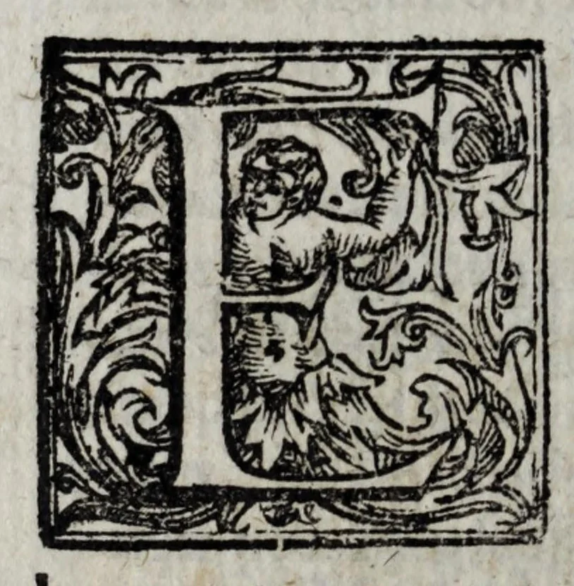An illustration from La regia et antica Piperno, città nobilissima di Volsci nel Latio : dove si tratta dell'origine, auuenimenti, & altre antichità di quella, et delle guerre che hebbero i Priuernati con diuersa fortuna con Romani & altri popoli sino alla destruttione di detta città, 1637, leaf 646