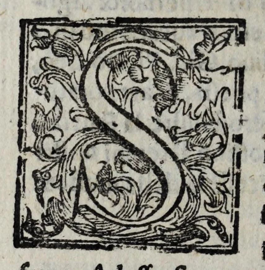 An illustration from La regia et antica Piperno, città nobilissima di Volsci nel Latio : dove si tratta dell'origine, auuenimenti, & altre antichità di quella, et delle guerre che hebbero i Priuernati con diuersa fortuna con Romani & altri popoli sino alla destruttione di detta città, 1637, leaf 706