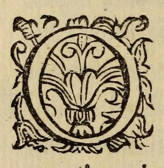 An illustration from La regina Sant'Orsola, d'Andrea Salvadori, recitata in musica nel Teatro del Serenisso. Gran Duca da Toscana., 1625, leaf 26