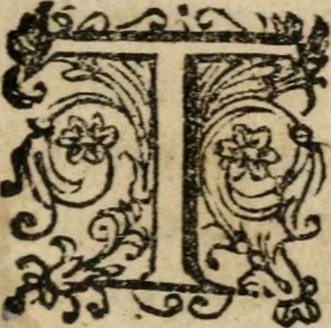 An illustration from La regina sant' Orsola, del sig. Andrea Saluadori : rappresetata nel teatro del sereniss. gran duca di Toscana al serenissimo principe Vladislao Sigismondo, principe di Polonia e di Suezia ; et, I fiori del Caluario, del medesimo, 1625, leaf 8