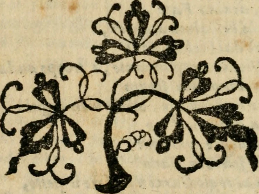 An illustration from La regina sant' Orsola, del sig. Andrea Saluadori : rappresetata nel teatro del sereniss. gran duca di Toscana al serenissimo principe Vladislao Sigismondo, principe di Polonia e di Suezia ; et, I fiori del Caluario, del medesimo, 1625, leaf 95