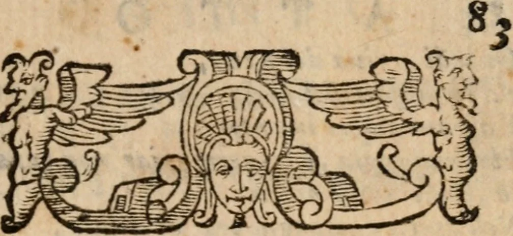 An illustration from La regina sant' Orsola, del sig. Andrea Saluadori : rappresetata nel teatro del sereniss. gran duca di Toscana al serenissimo principe Vladislao Sigismondo, principe di Polonia e di Suezia ; et, I fiori del Caluario, del medesimo, 1625, leaf 98